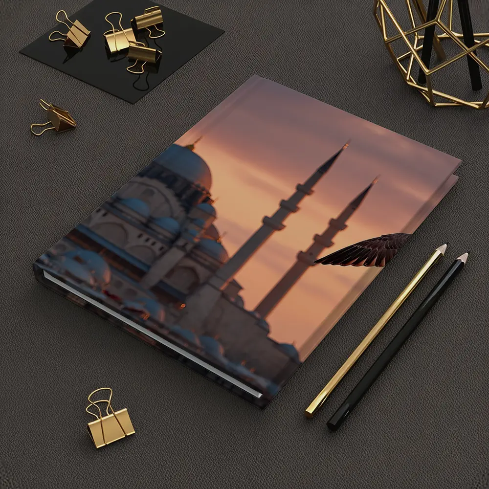Seagull Flying Over Istanbul Mosque Sunset – Notebooks