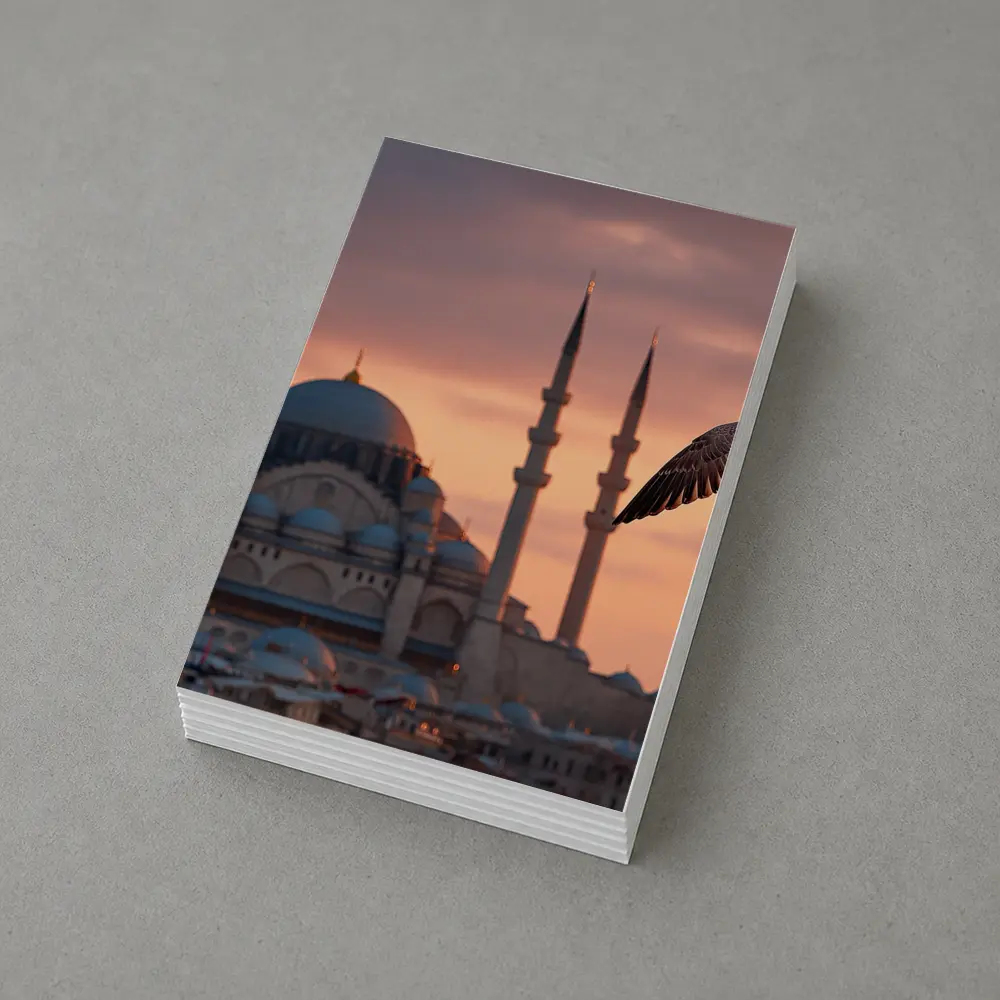 Seagull Flying Over Istanbul Mosque Sunset – Postcards