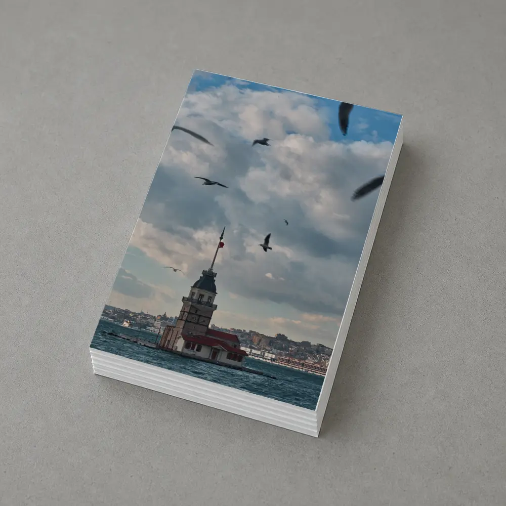 Maiden Tower Istanbul Bosphorus Seagulls Sky – Postcards