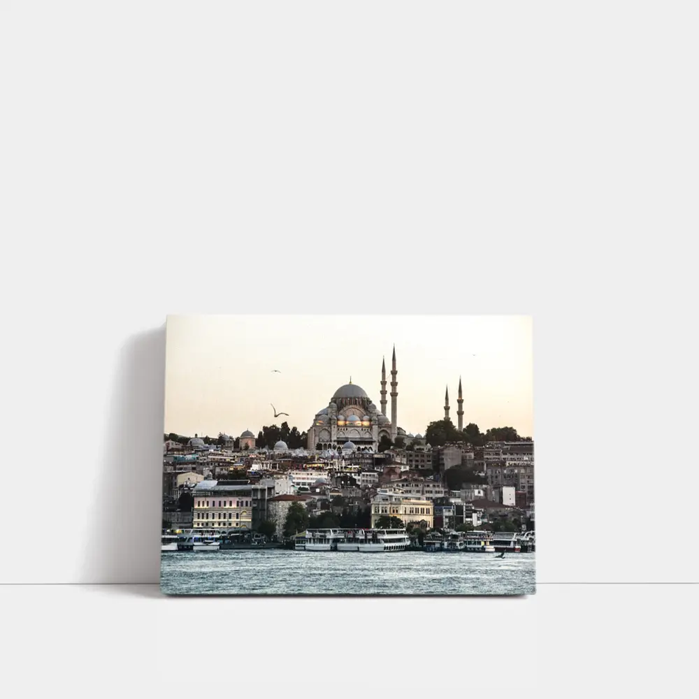 Suleymaniye Mosque Istanbul Bosphorus Waterfront View – Wall Art