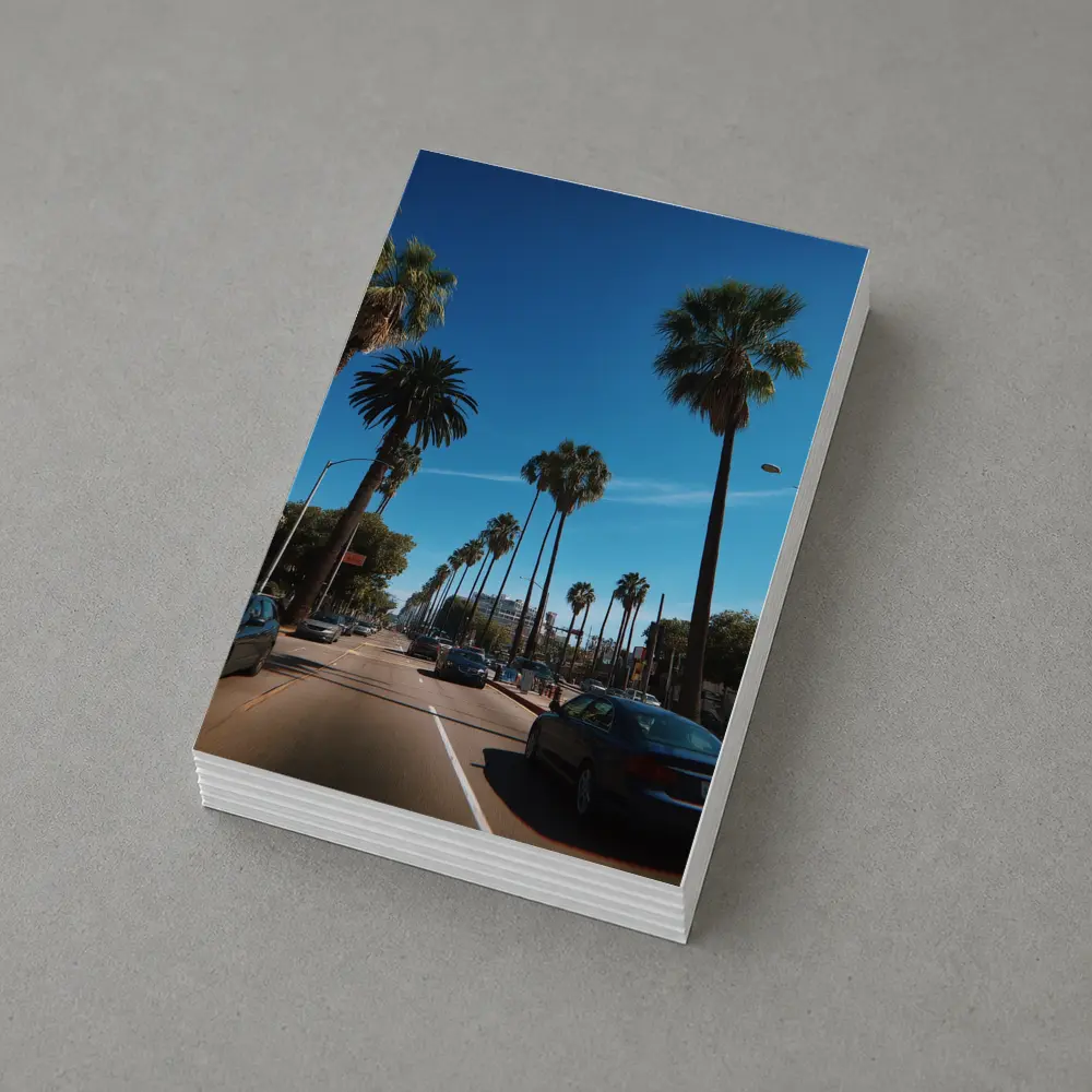 Los Angeles Palm Tree Boulevard Blue Sky – Postcards