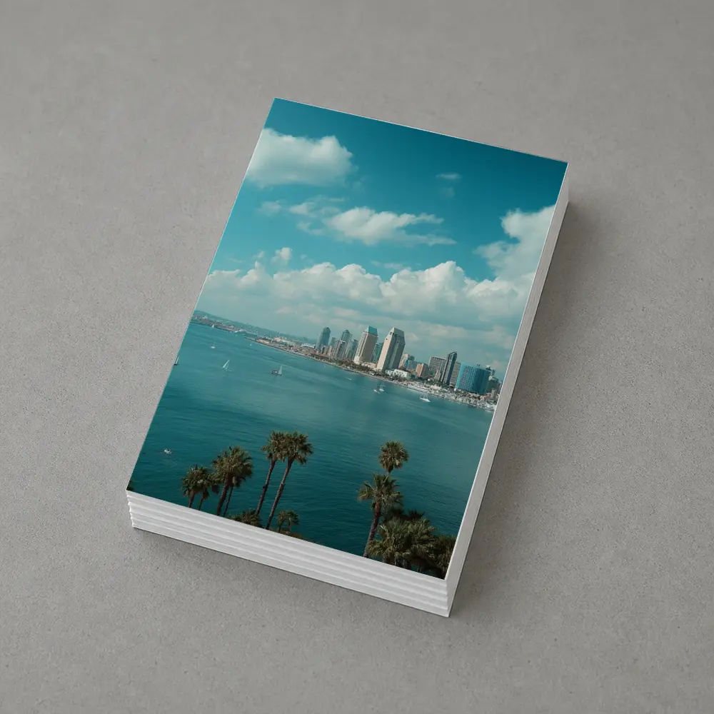 San Diego Bay Skyline Palm Trees Blue Sky – Postcards