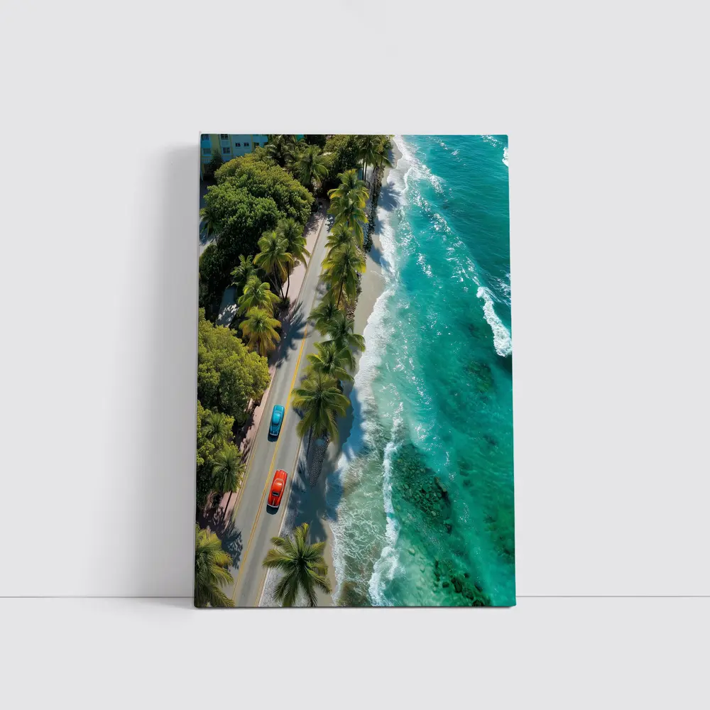 Classic Cars Coastal Road Palm Trees Aerial – Wall Art