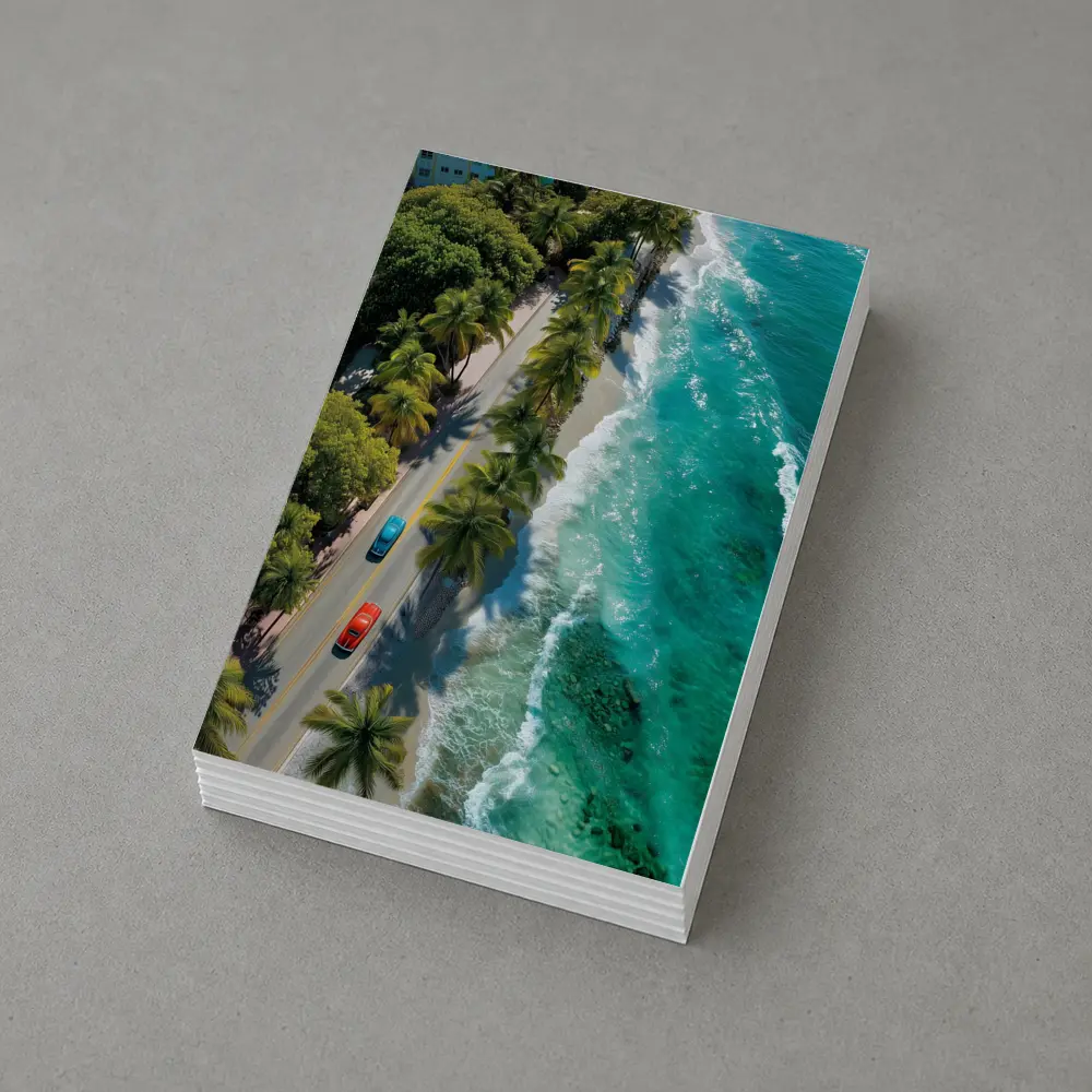 Classic Cars Coastal Road Palm Trees Aerial – Postcards