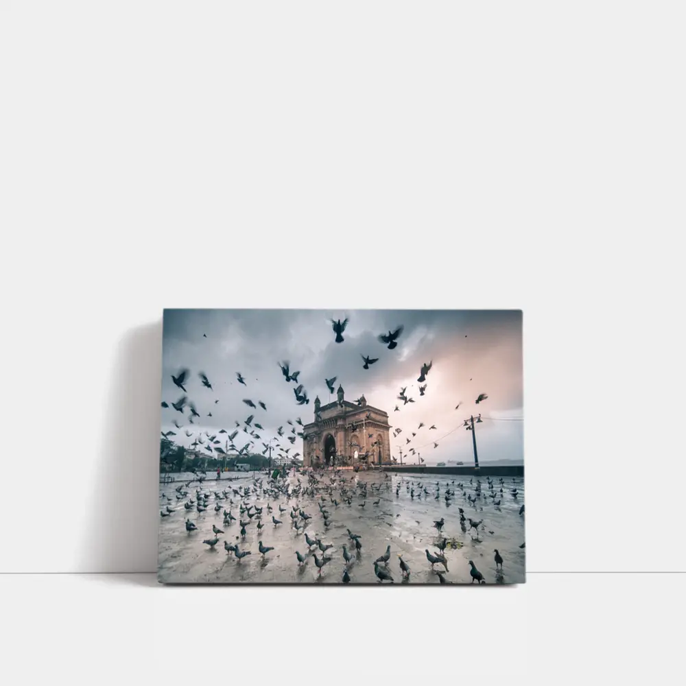 Gateway of India Mumbai Pigeons Storm – Wall Art