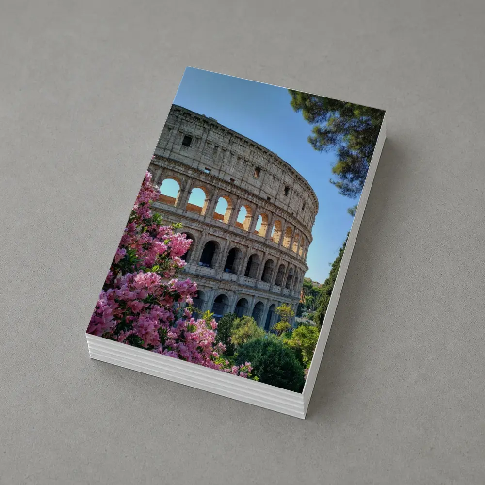 Rome Colosseum Pink Flowers Blue Sky – Postcards