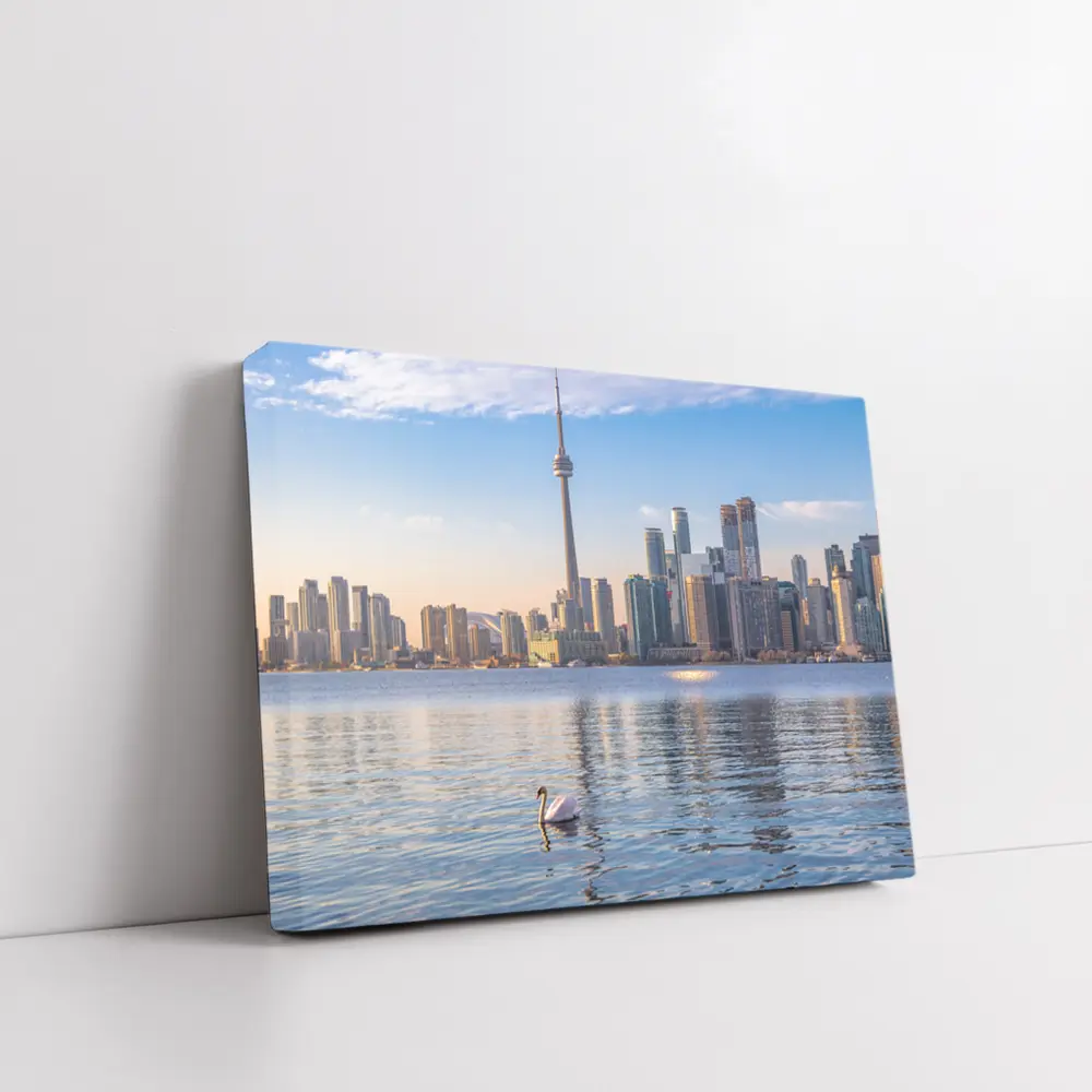 Toronto Skyline Swan on Lake Ontario – Wall Art