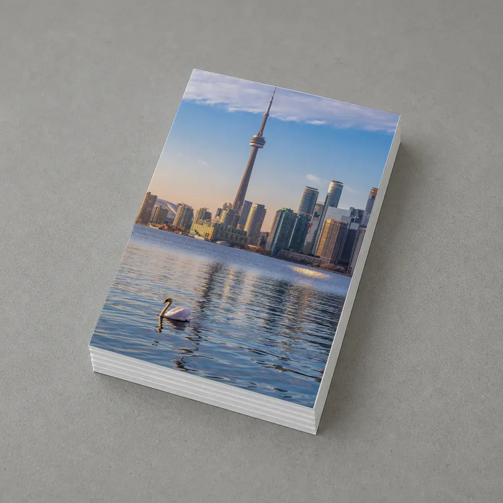 Toronto Skyline Swan on Lake Ontario – Postcards