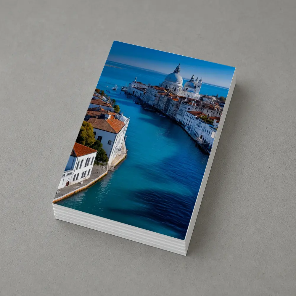 Venice Grand Canal Santa Maria Della Salute – Postcards