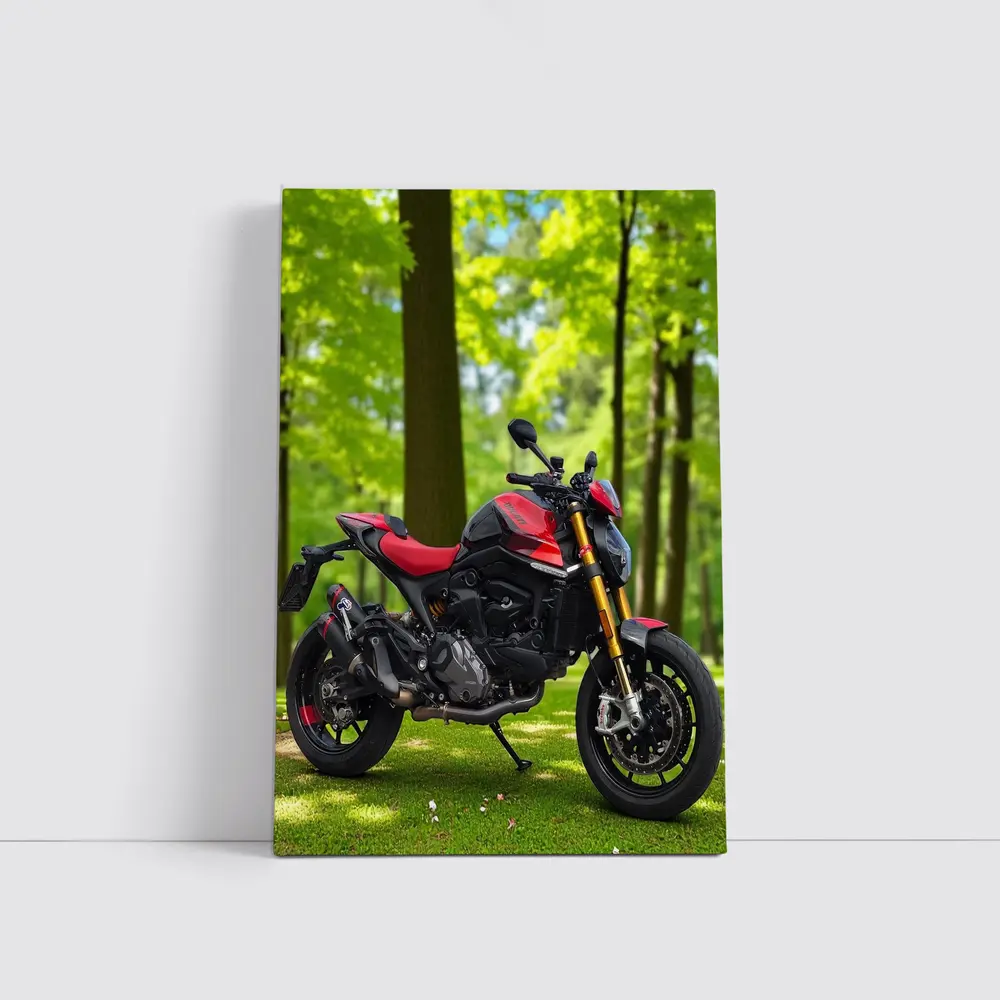 Ducati Monster Red Black Motorcycle Green Park – Wall Art