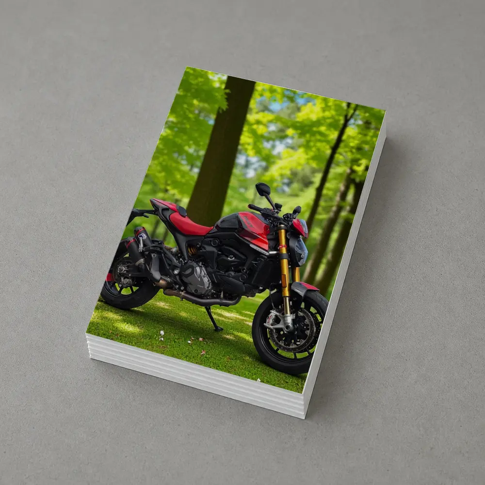 Ducati Monster Red Black Motorcycle Green Park – Postcards