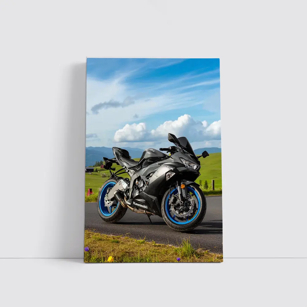 Kawasaki Ninja Sport Bike Mountain Road – Wall Art