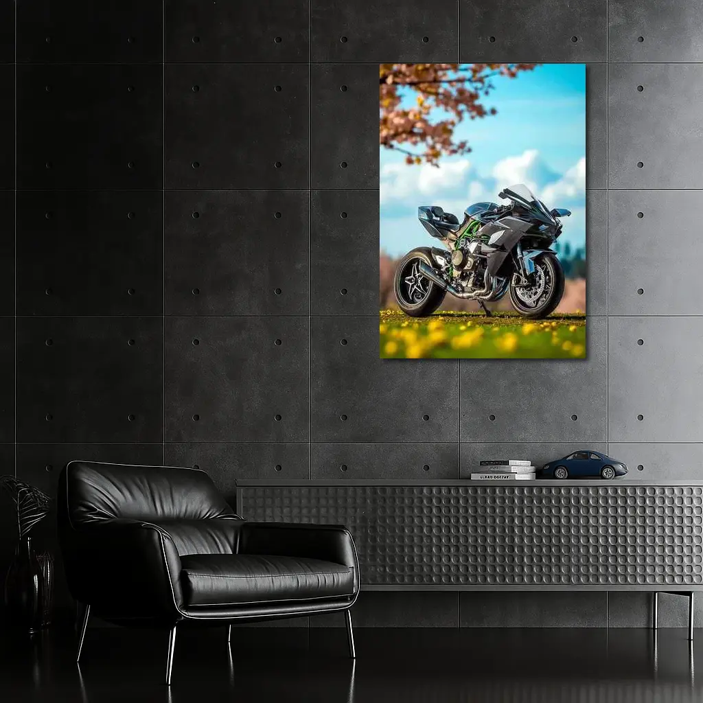 Kawasaki Ninja H2 Green Spring Park – Wall Art