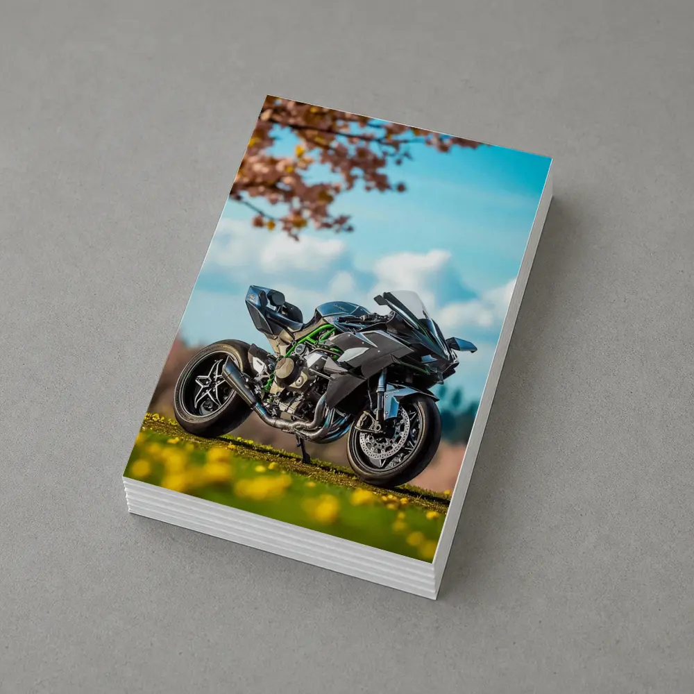 Kawasaki Ninja H2 Green Spring Park – Postcards