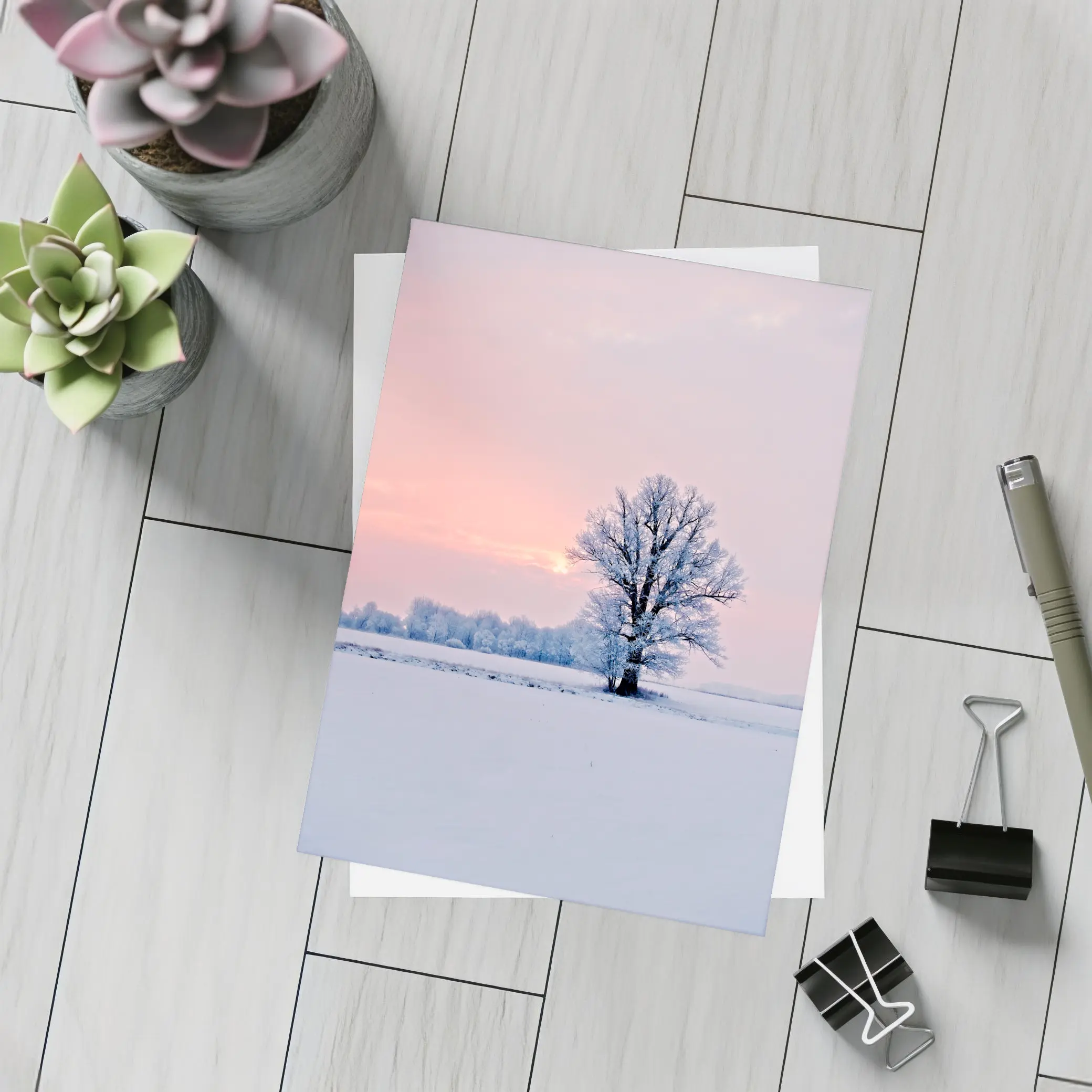 Frost Covered Tree Winter Sunset Field – Postcards