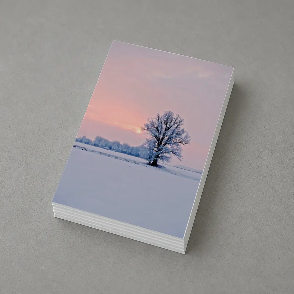 Frost Covered Tree Winter Sunset Field – Postcards