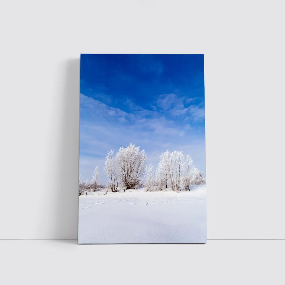 Frost Covered Trees Snowy Winter Landscape – Wall Art