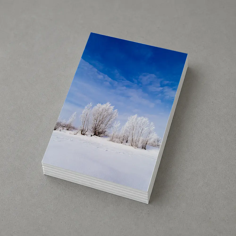 Frost Covered Trees Snowy Winter Landscape – Postcards