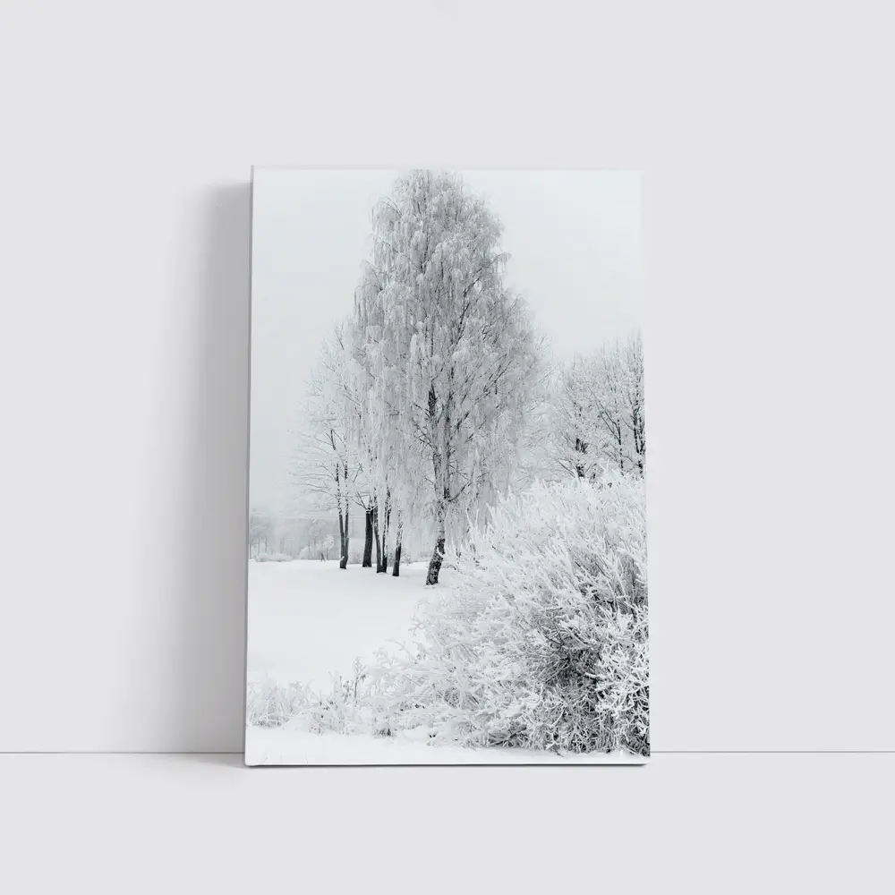 Frost Covered Birch Trees Winter Snow Scene – Wall Art