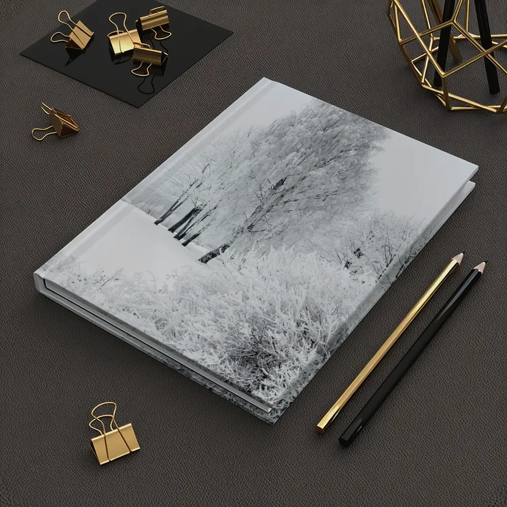 Frost Covered Birch Trees Winter Snow Scene – Notebooks