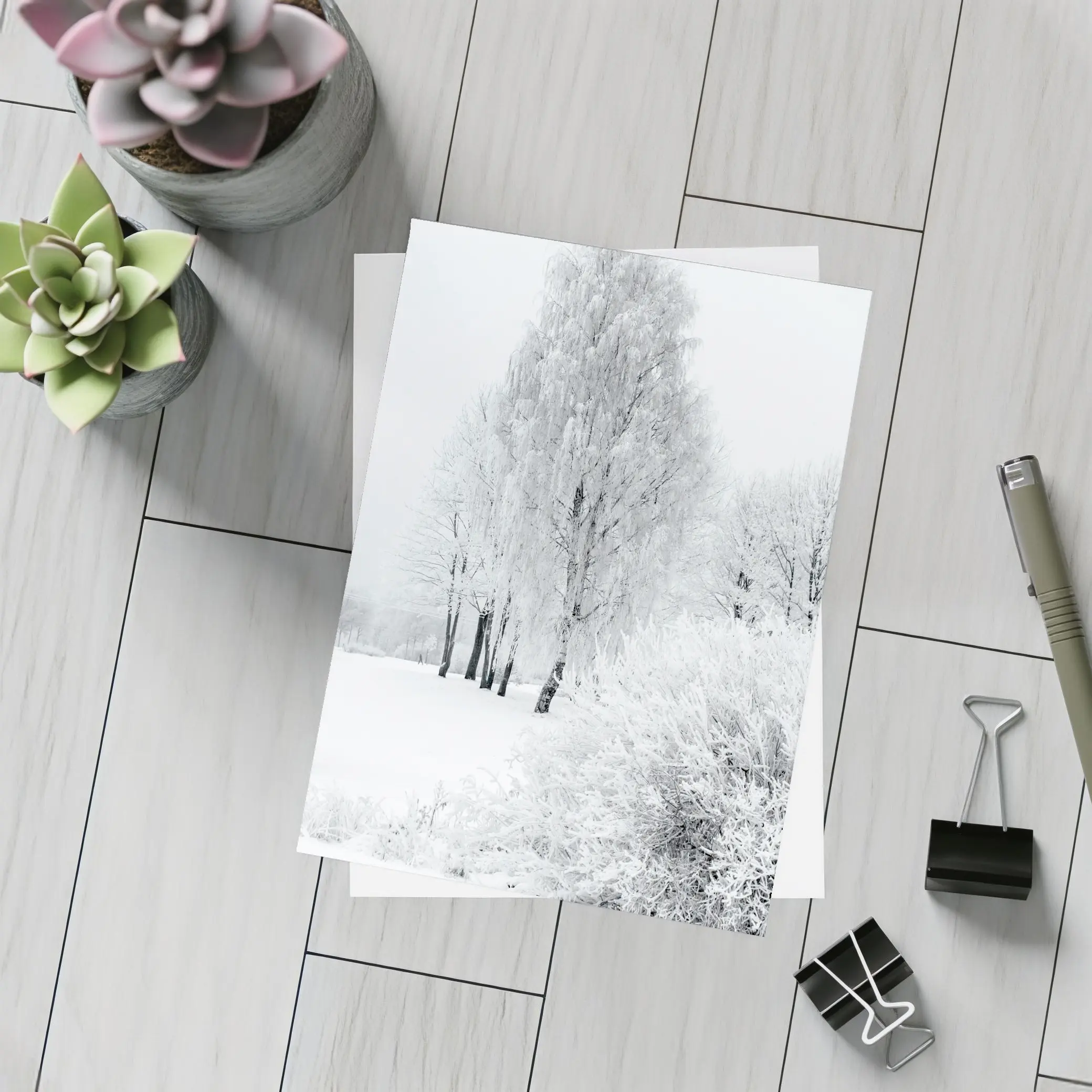 Frost Covered Birch Trees Winter Snow Scene – Postcards