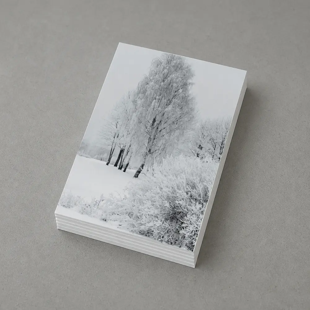 Frost Covered Birch Trees Winter Snow Scene – Postcards