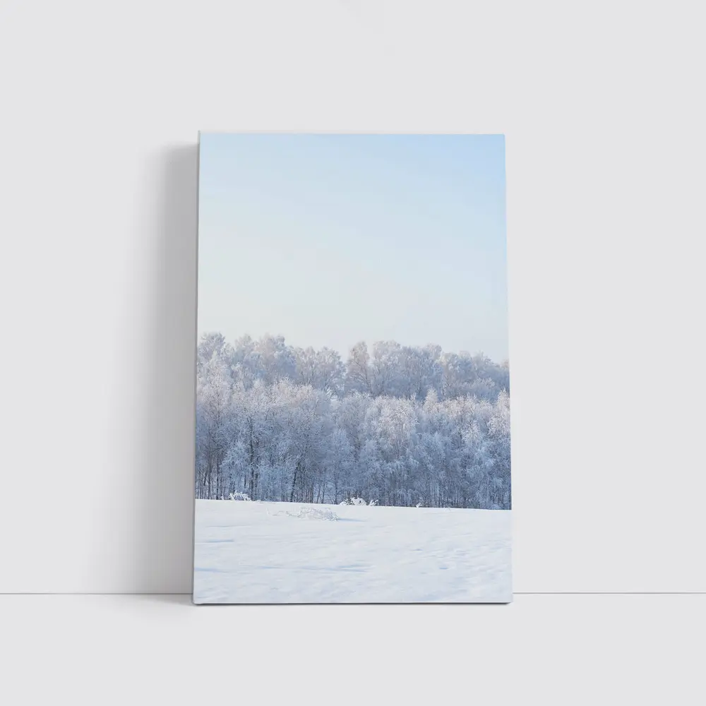 Frost Covered Trees Snowy Winter Field – Wall Art