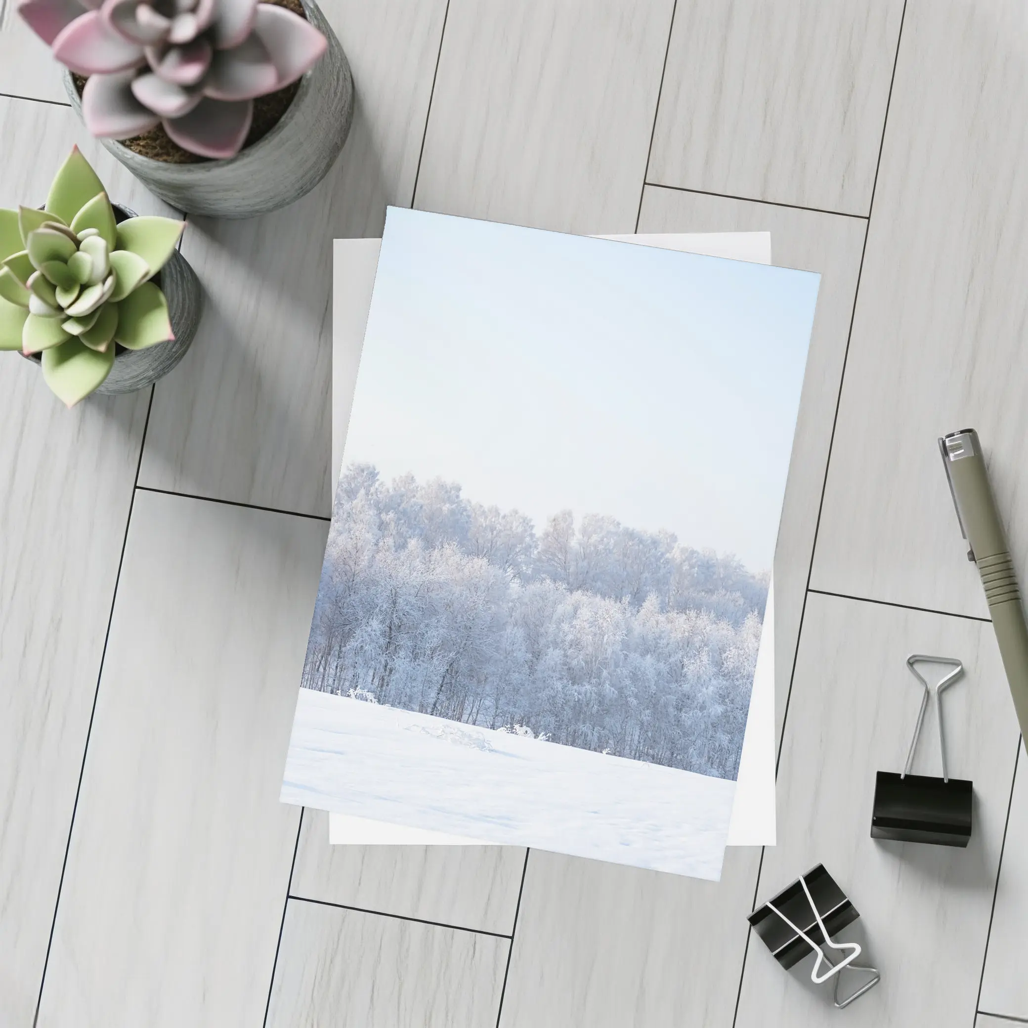 Frost Covered Trees Snowy Winter Field – Postcards