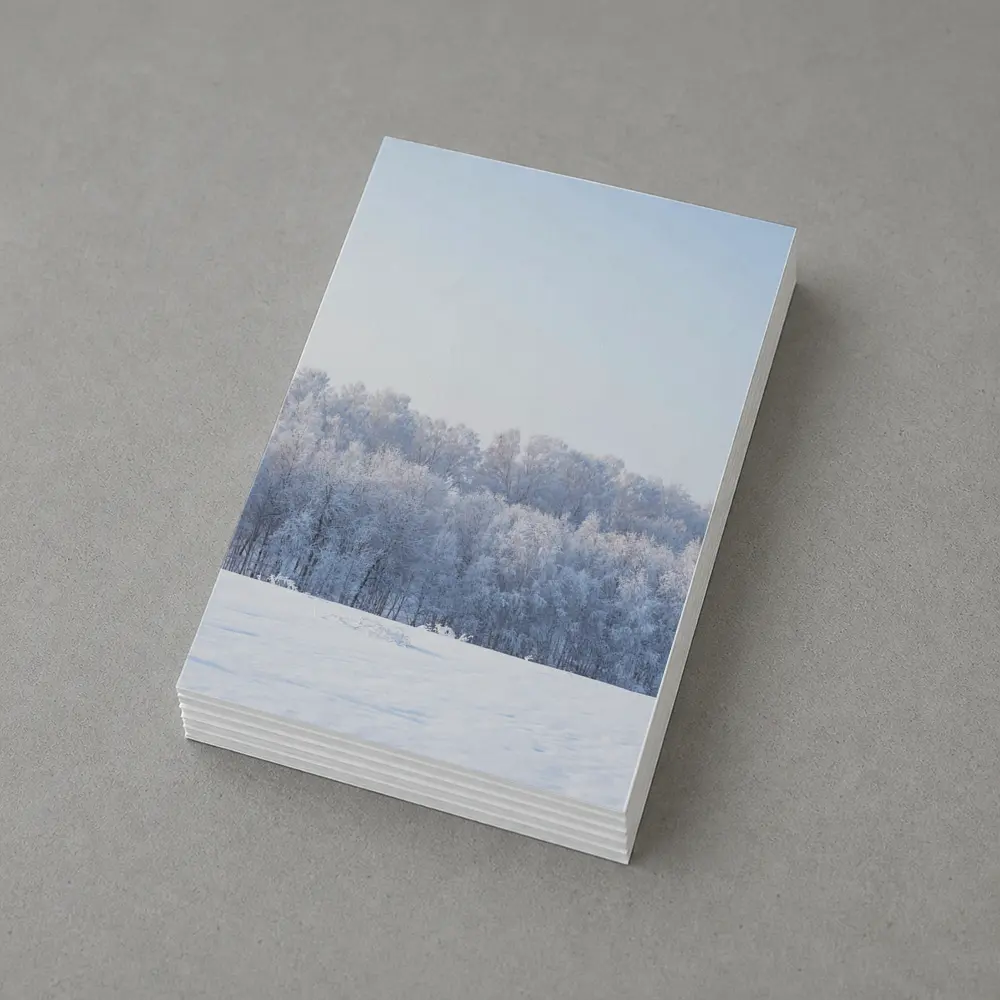 Frost Covered Trees Snowy Winter Field – Postcards