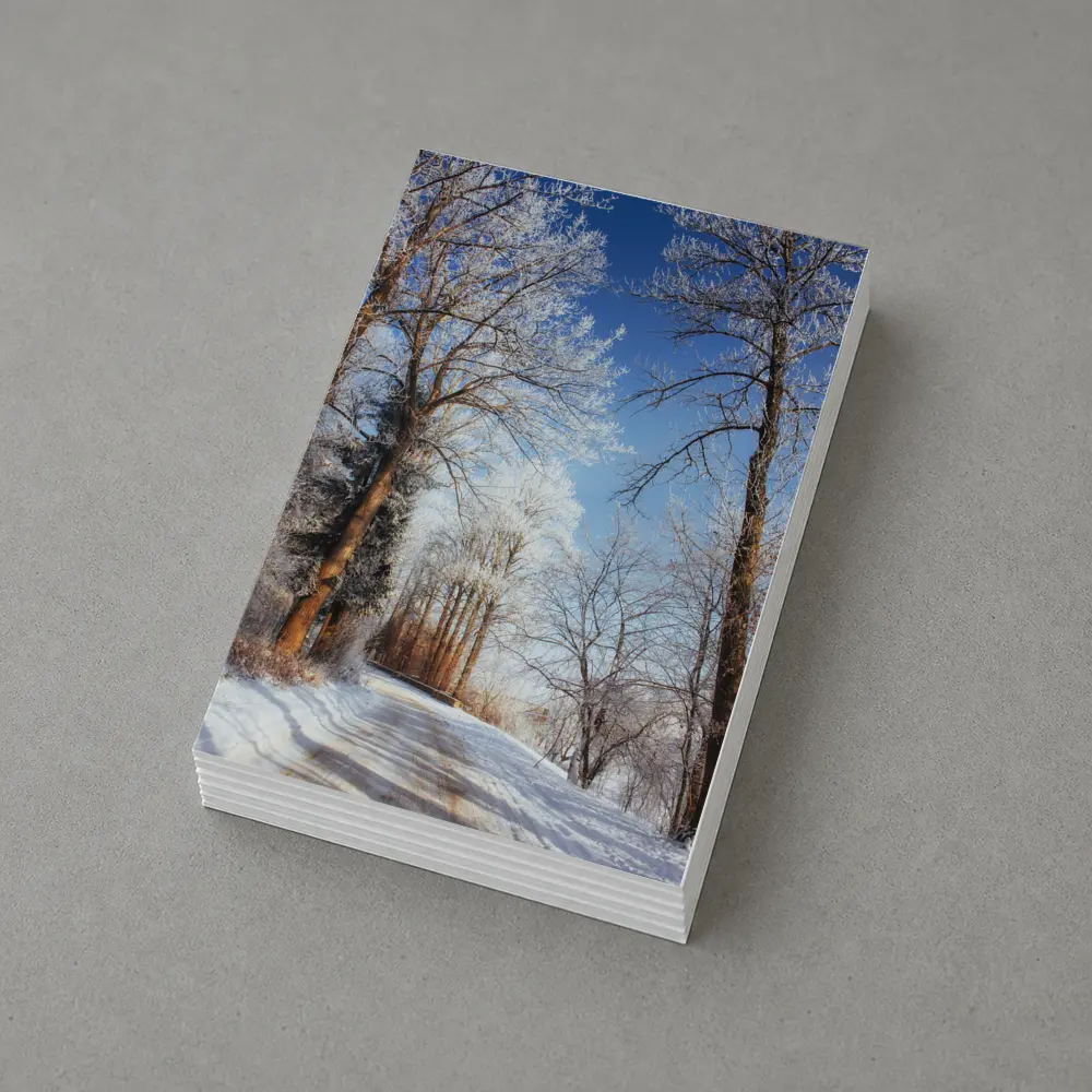 Snowy Country Road Frost Covered Trees Winter – Postcards