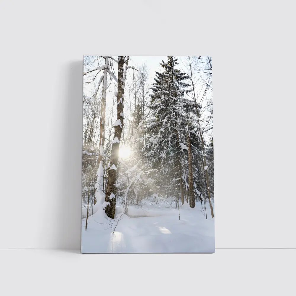 Snowy Winter Forest Sunlight Through Trees – Wall Art