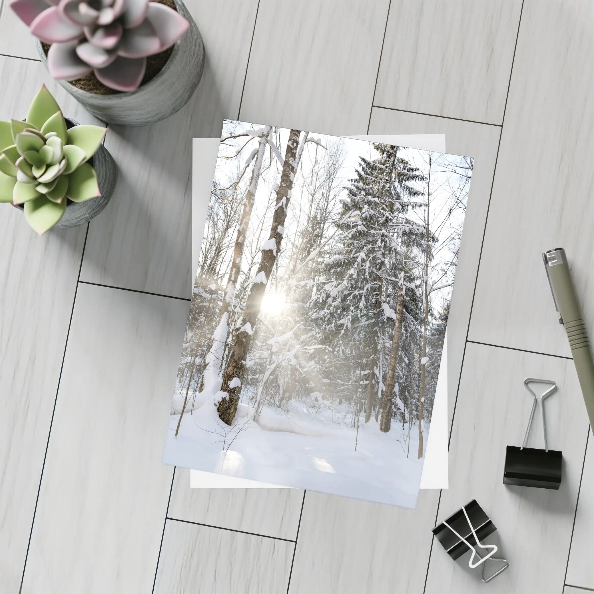 Snowy Winter Forest Sunlight Through Trees – Postcards