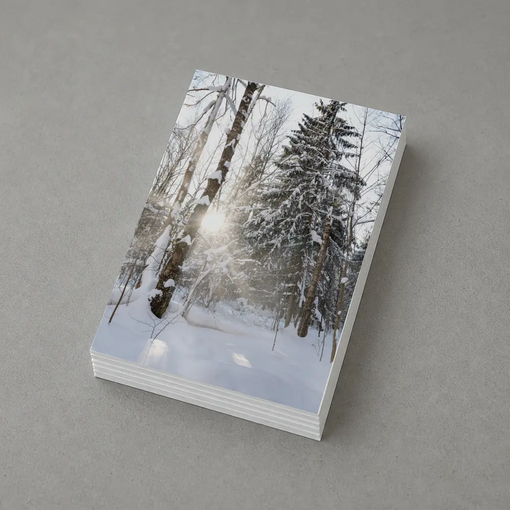 Snowy Winter Forest Sunlight Through Trees – Postcards