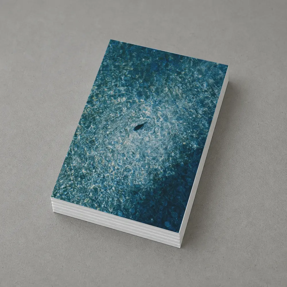 Lone Shark Aerial View Blue Ocean – Postcards