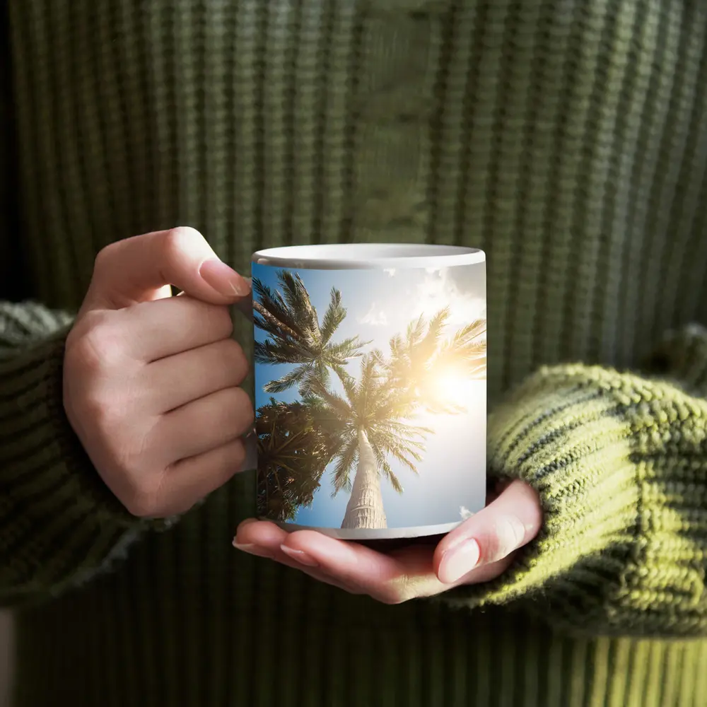 Palm Trees Looking Up Sunny Blue Sky – Mugs