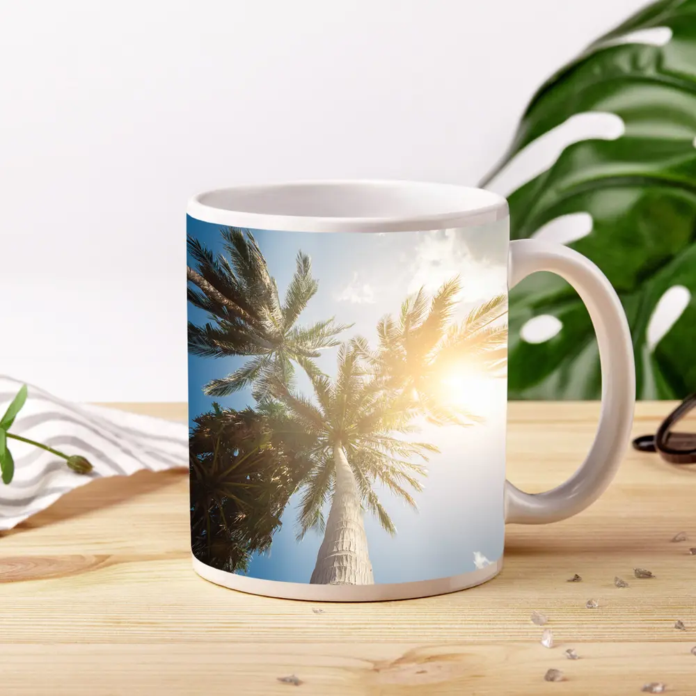 Palm Trees Looking Up Sunny Blue Sky – Mugs
