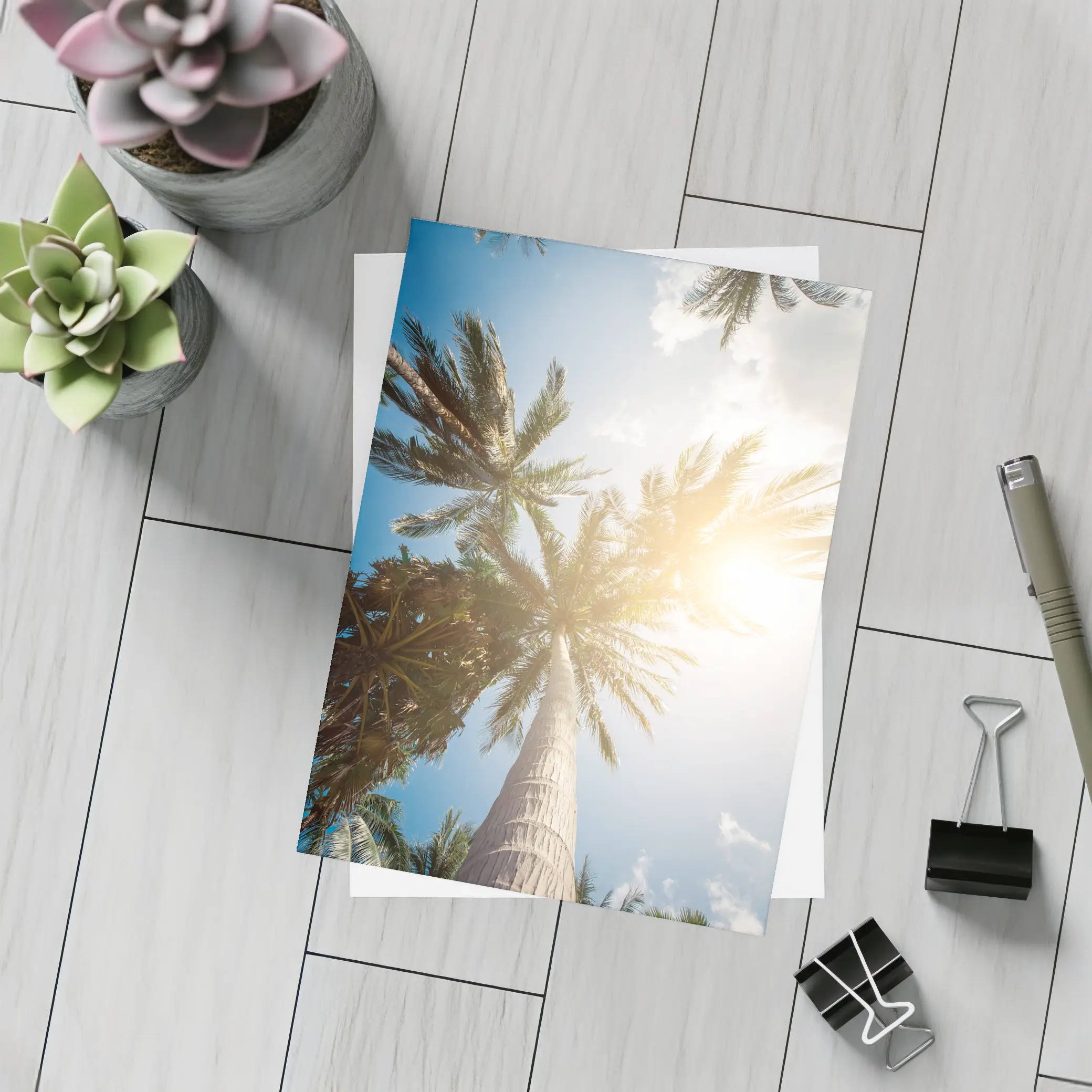 Palm Trees Looking Up Sunny Blue Sky – Postcards
