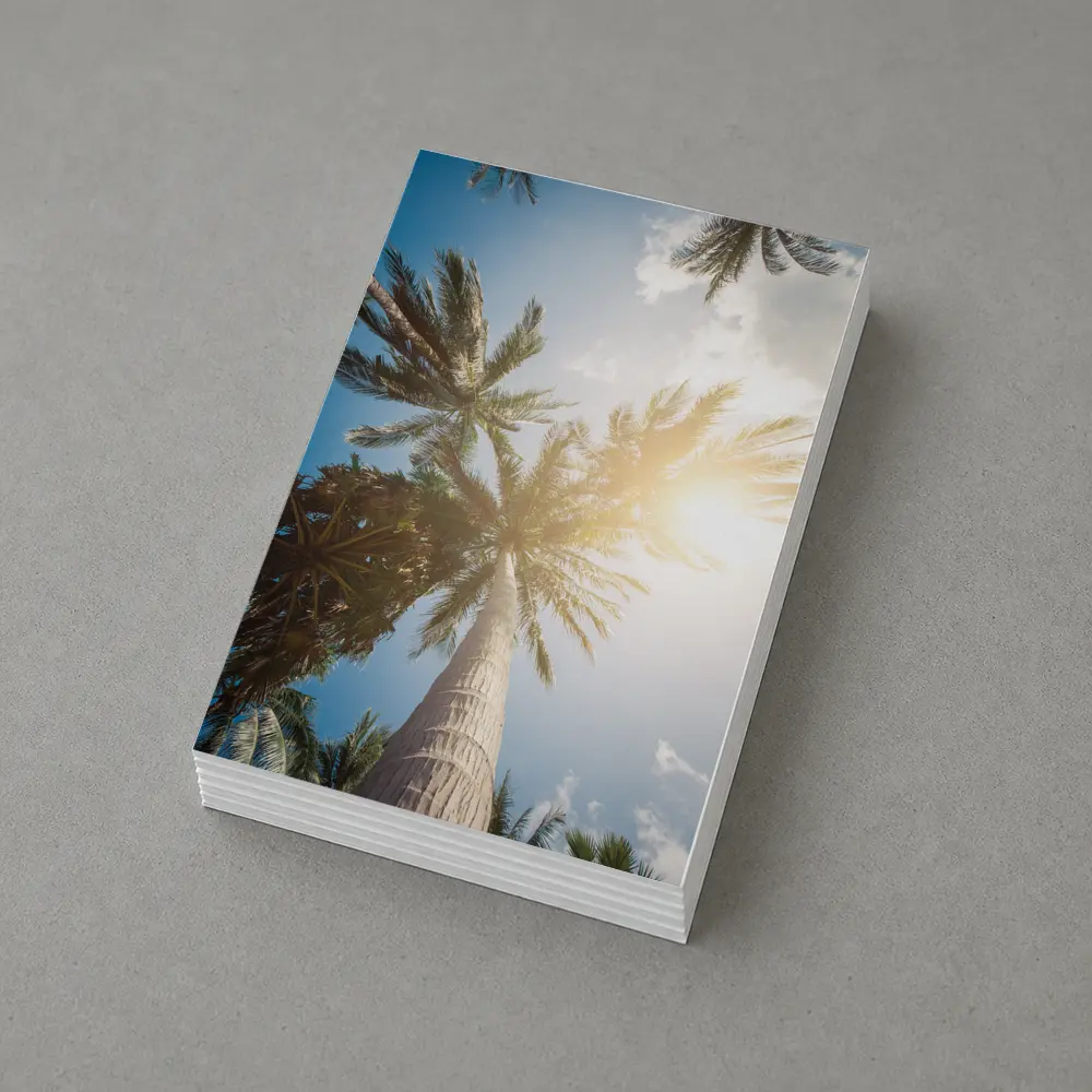 Palm Trees Looking Up Sunny Blue Sky – Postcards