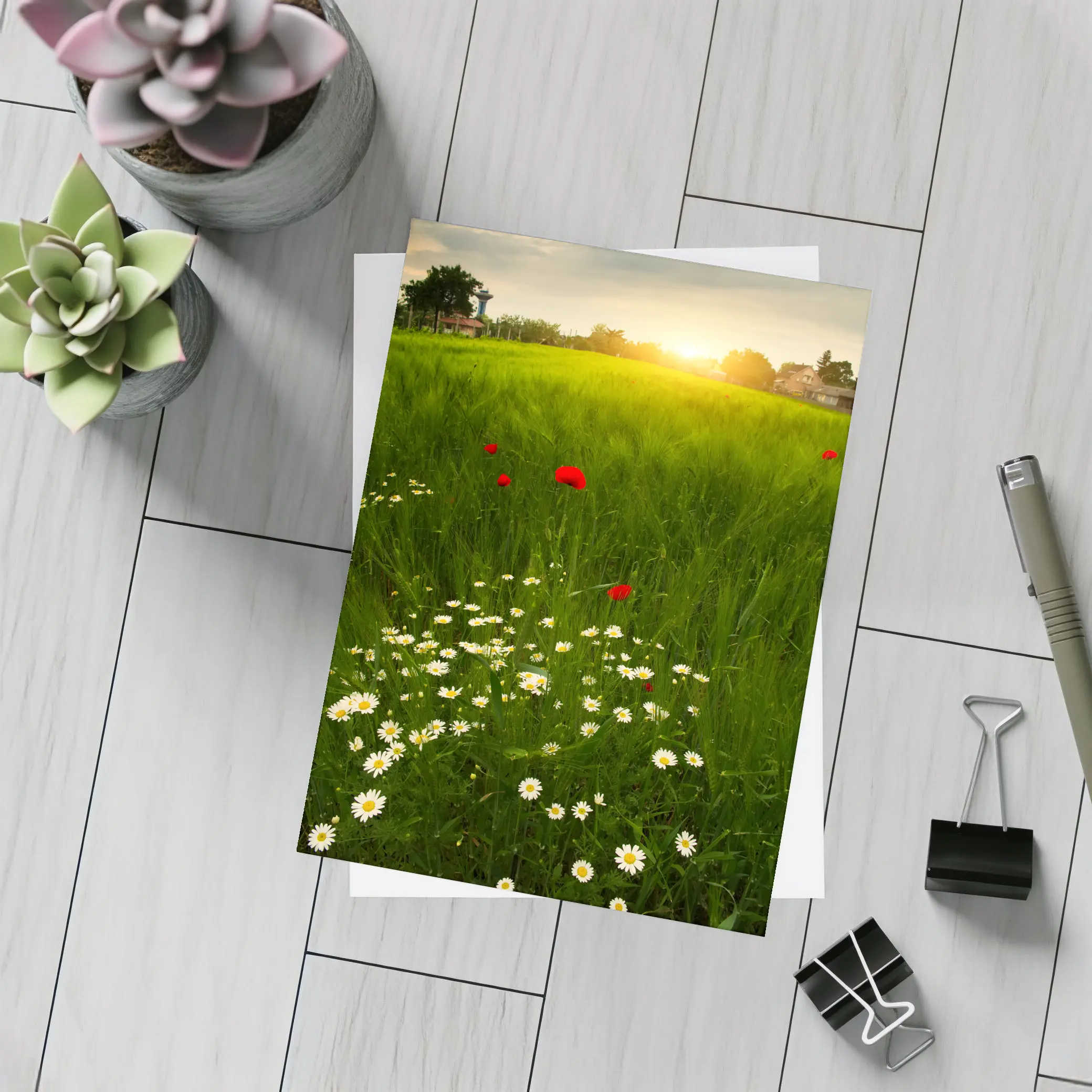 Daisy And Poppy Field Golden Sunset – Postcards