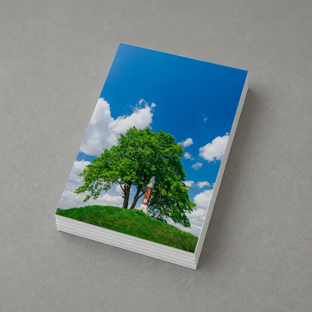 Lone Tree on Hill Blue Sky – Postcards