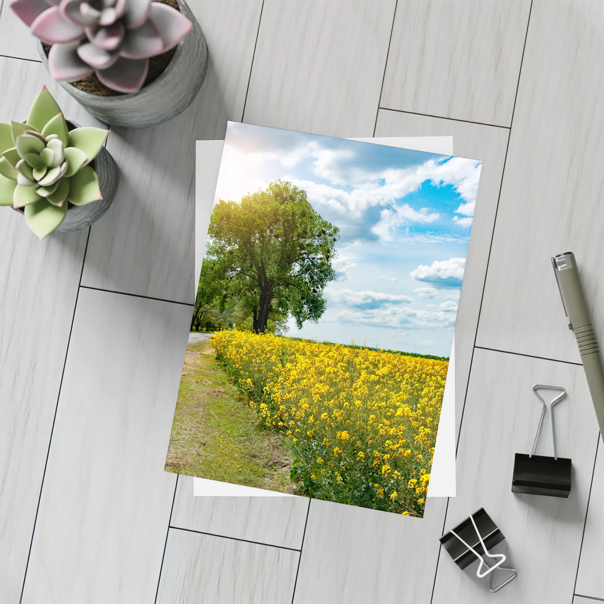 Yellow Rapeseed Field Road Large Tree – Postcards