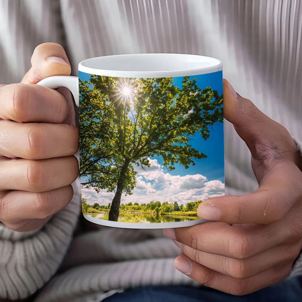 Oak Tree Sun Flare River Summer – Mugs