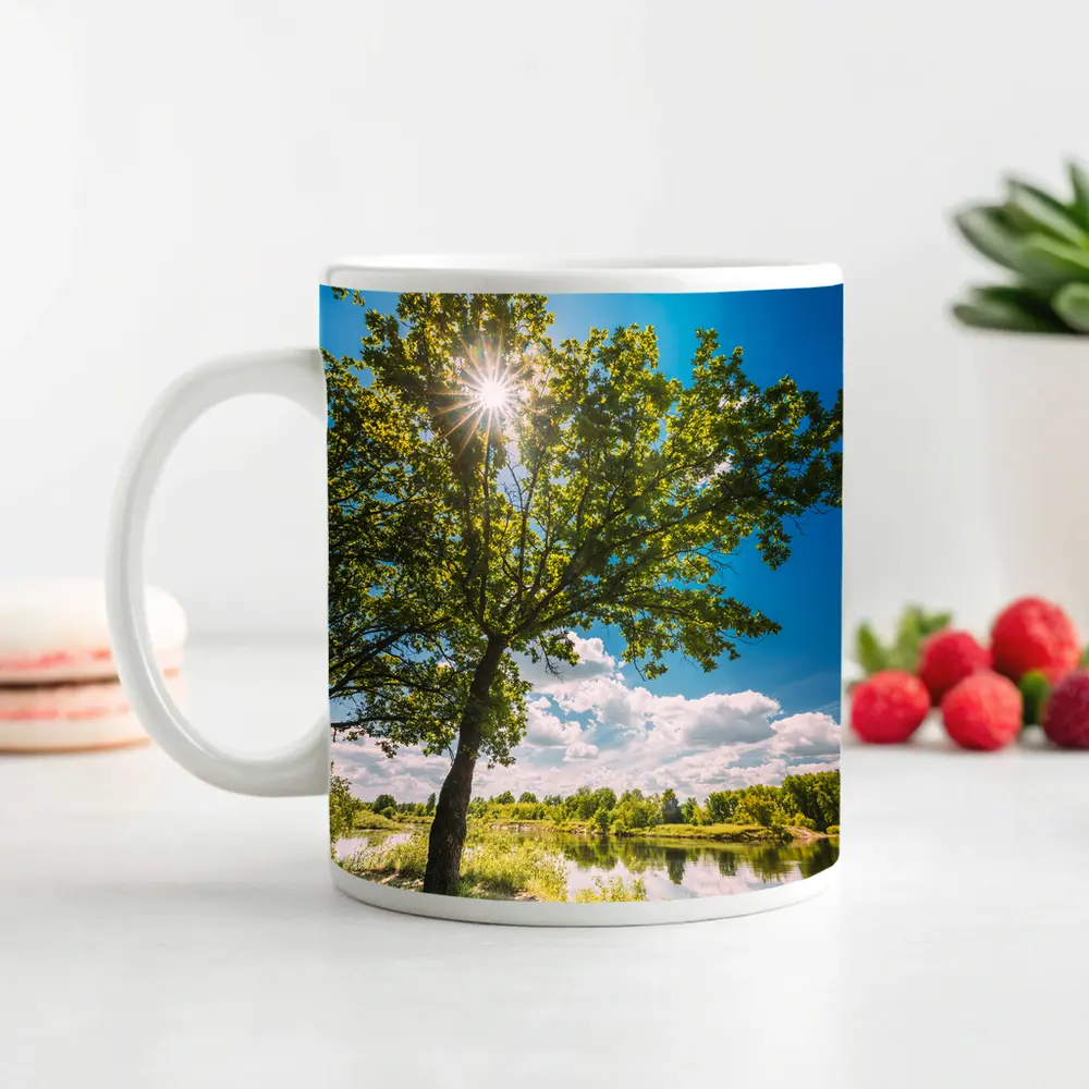 Oak Tree Sun Flare River Summer – Mugs