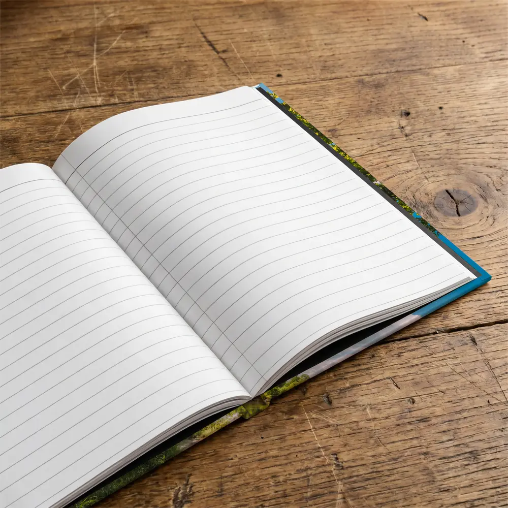 Oak Tree Sun Flare River Summer – Notebooks