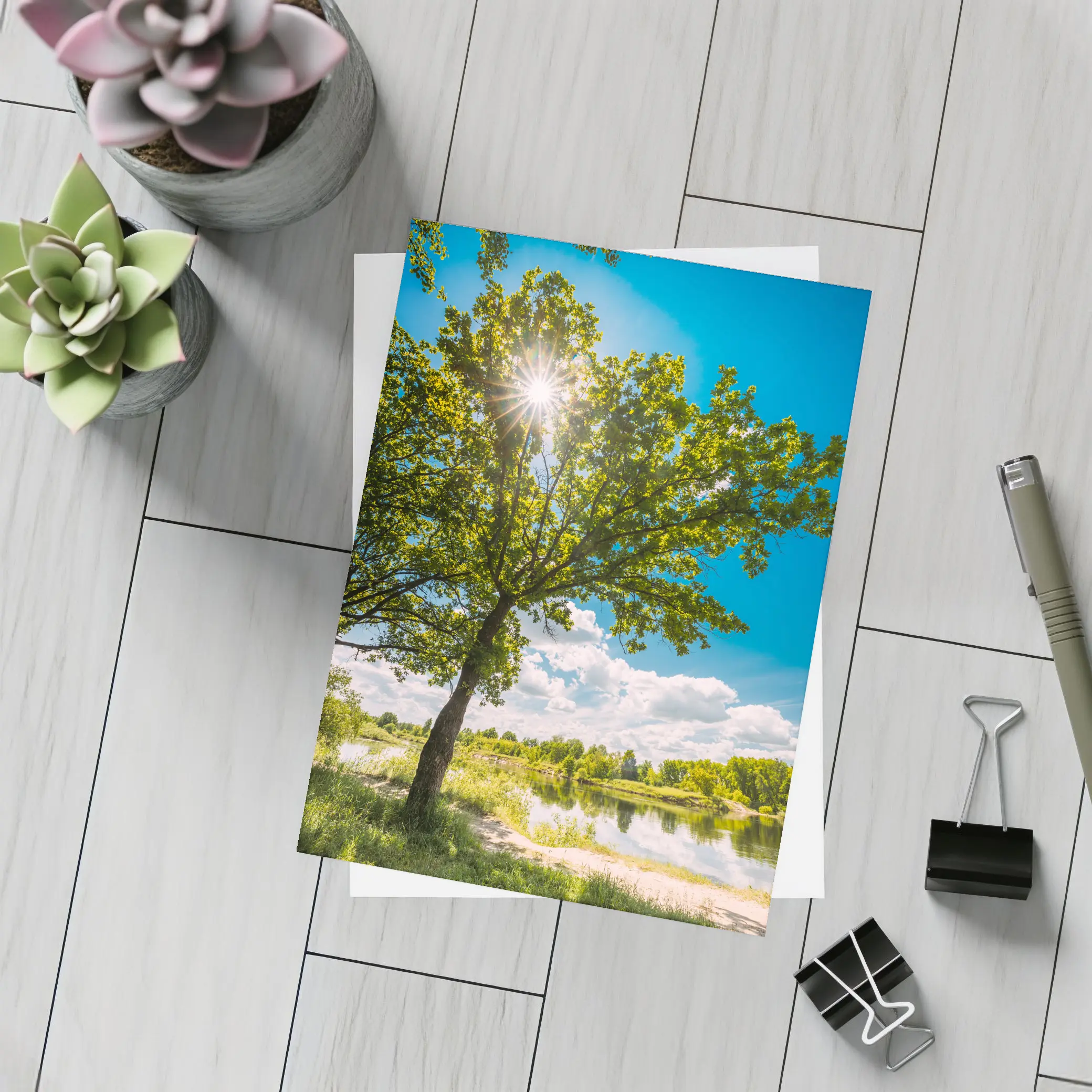 Oak Tree Sun Flare River Summer – Postcards