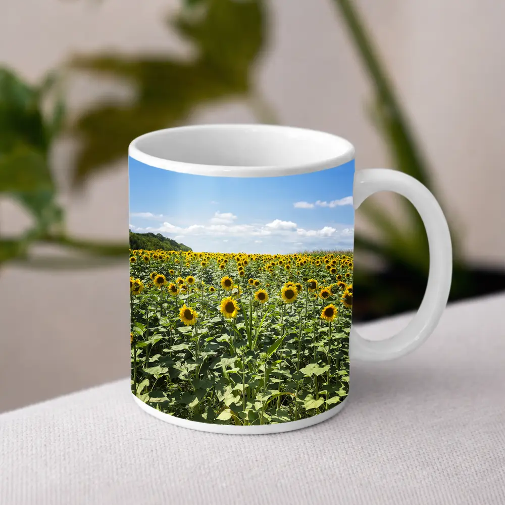 Sunflower Field Under Blue Summer Sky – Mugs