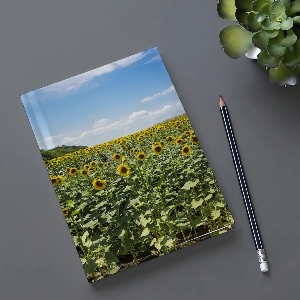 Sunflower Field Under Blue Summer Sky – Notebooks