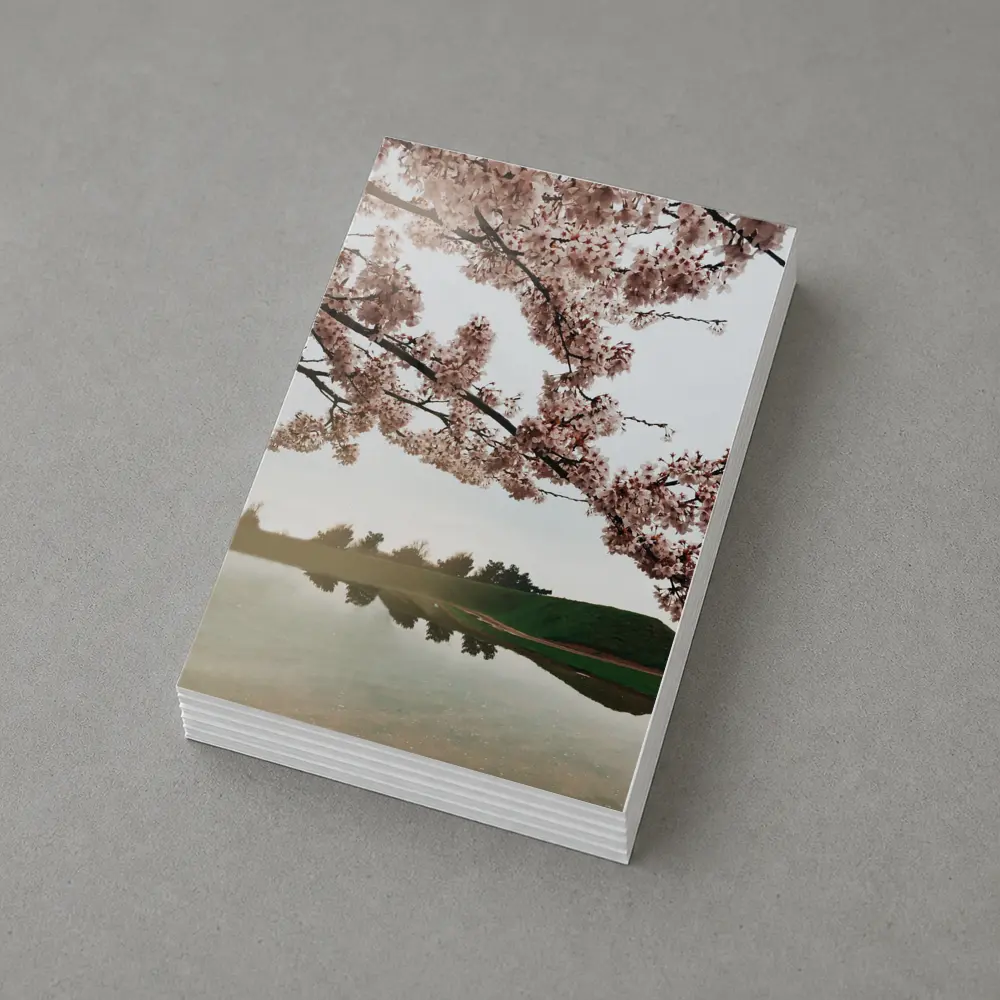 Cherry Blossoms Reflecting On Misty Lake – Postcards