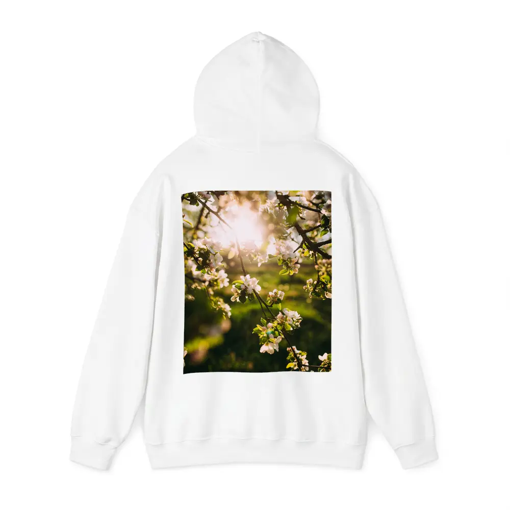 Apple Blossom Branches Sun Flare Spring – Hoodies