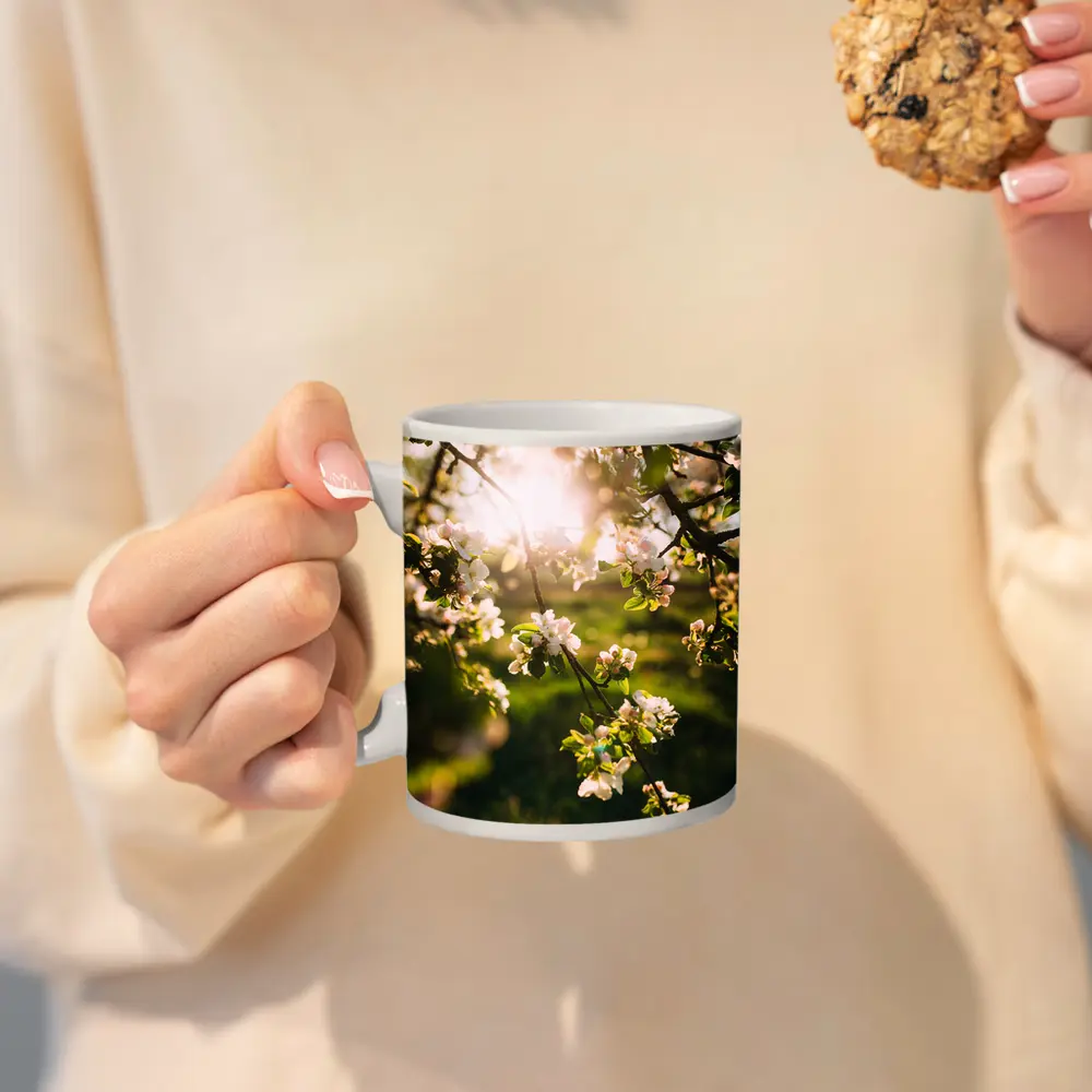 Apple Blossom Branches Sun Flare Spring – Mugs